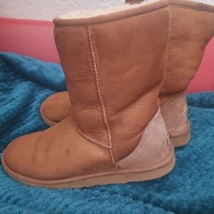 Classic Brown Ugg Boots